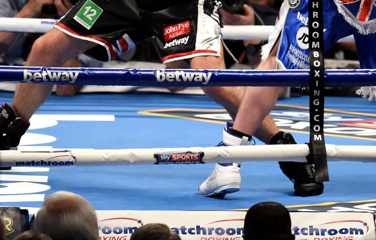 Cómo entender y conocer más sobre box