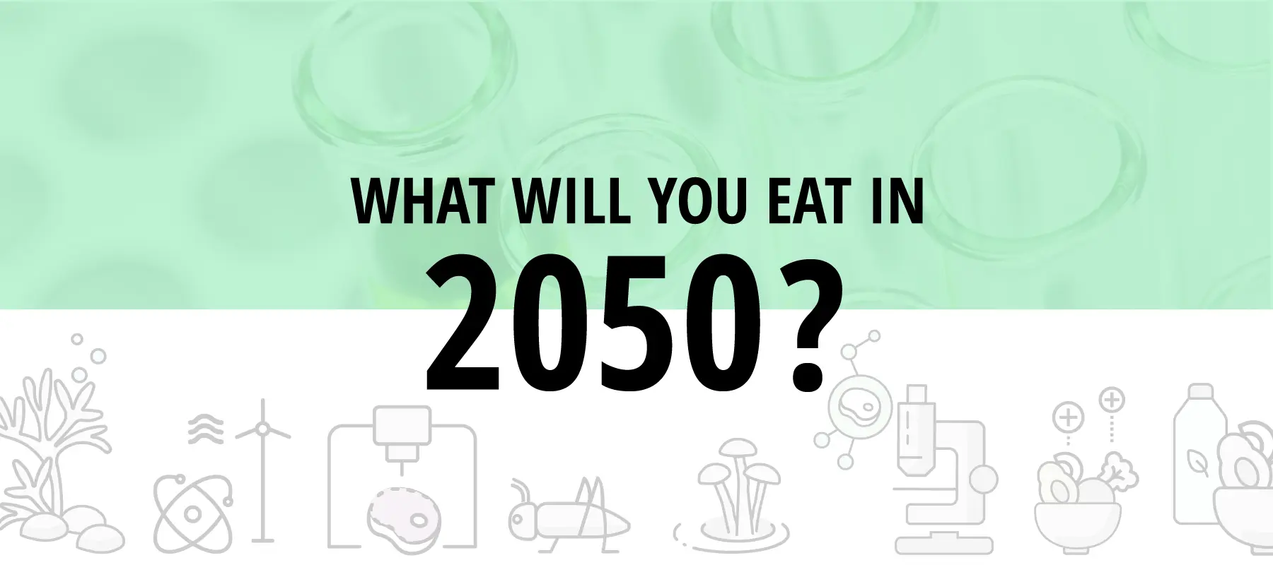 2024122022443687326