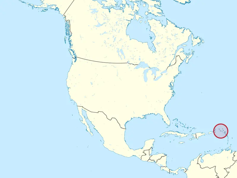 2024122020133867350