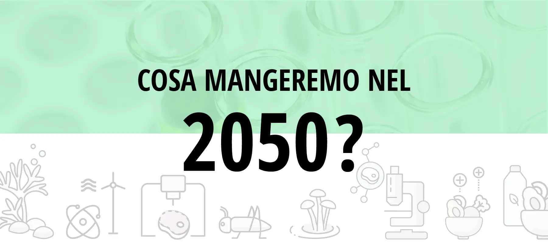 2024122022434341327