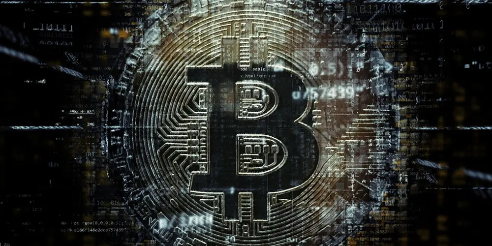 2024122016571059297