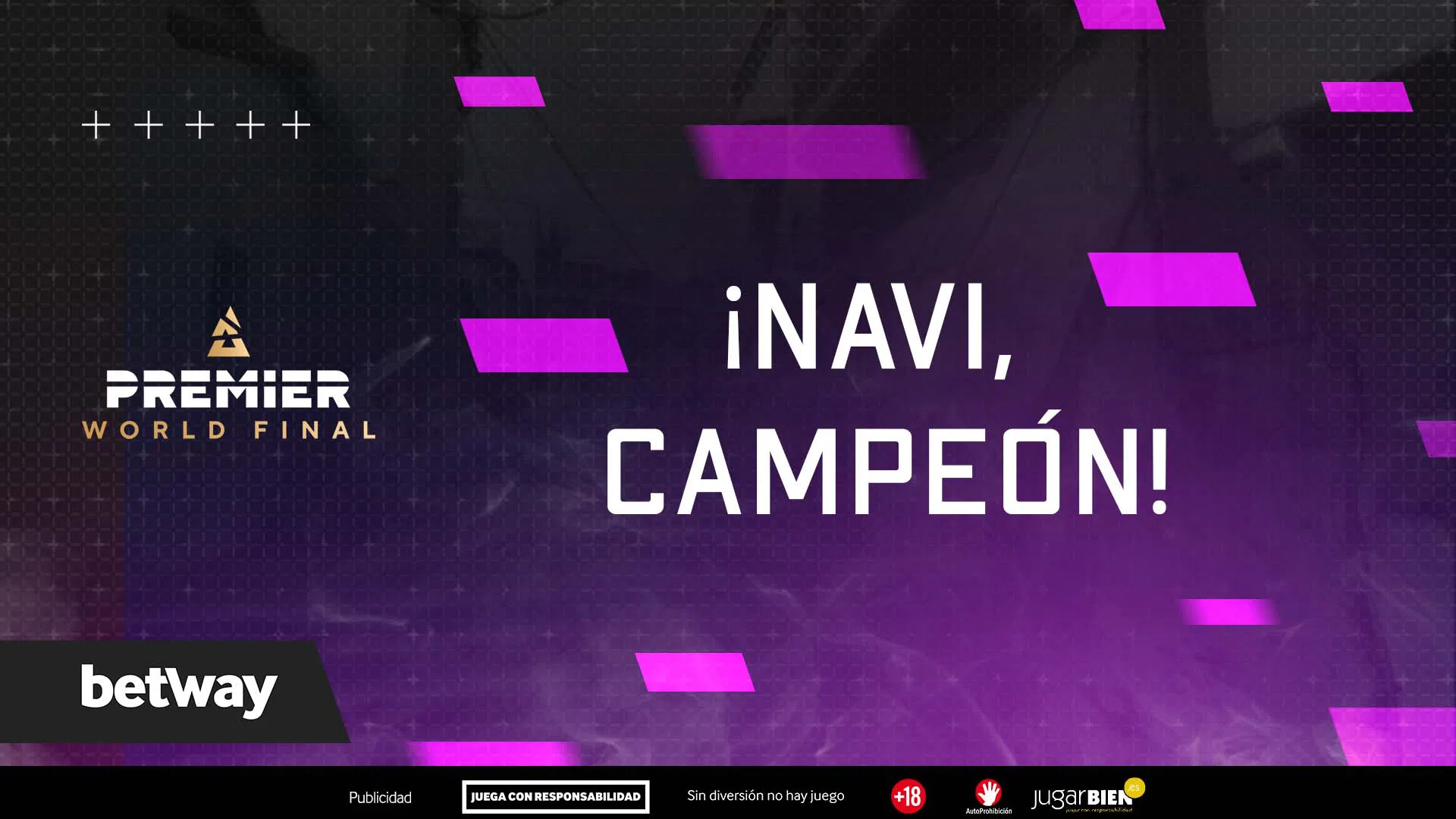NaVi, campeón de la Final del BLAST Premier