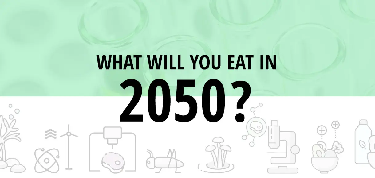 2024122022443802519