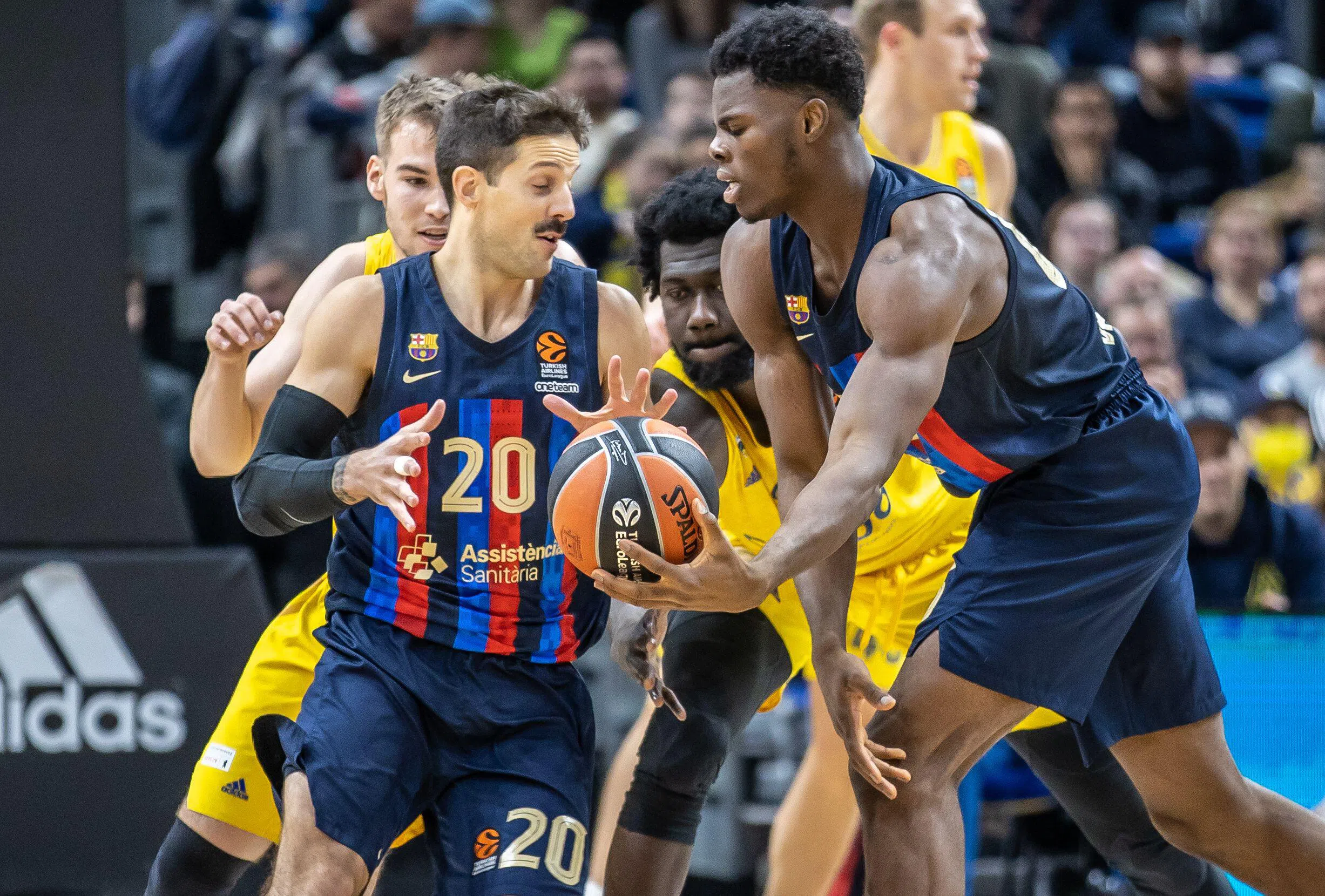 Las Ligas de Baloncesto que Deberías Seguir