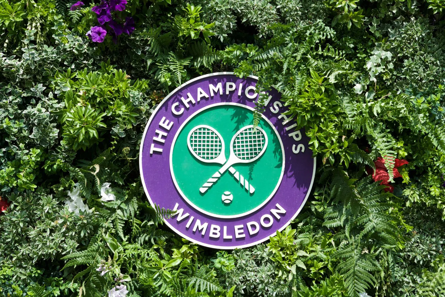 Wimbledon, Donde el Césped Canta Historias de Raquetas y Sueños